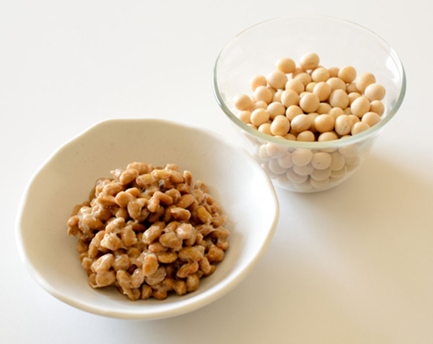 いきいきヨーグルト＆納豆家族