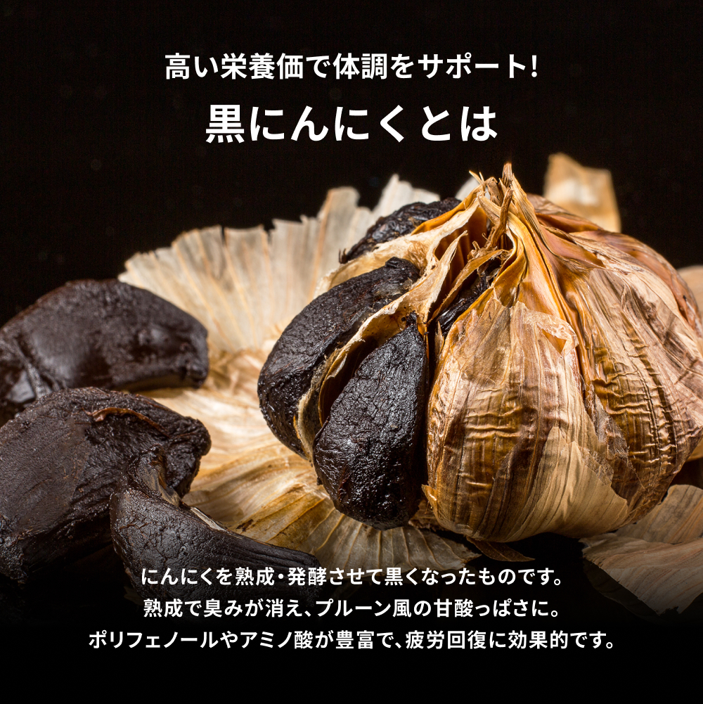 ROOMMATE BIGサイズ!黒にんにく発酵器 ＜黒王＞ - ROOMMATE